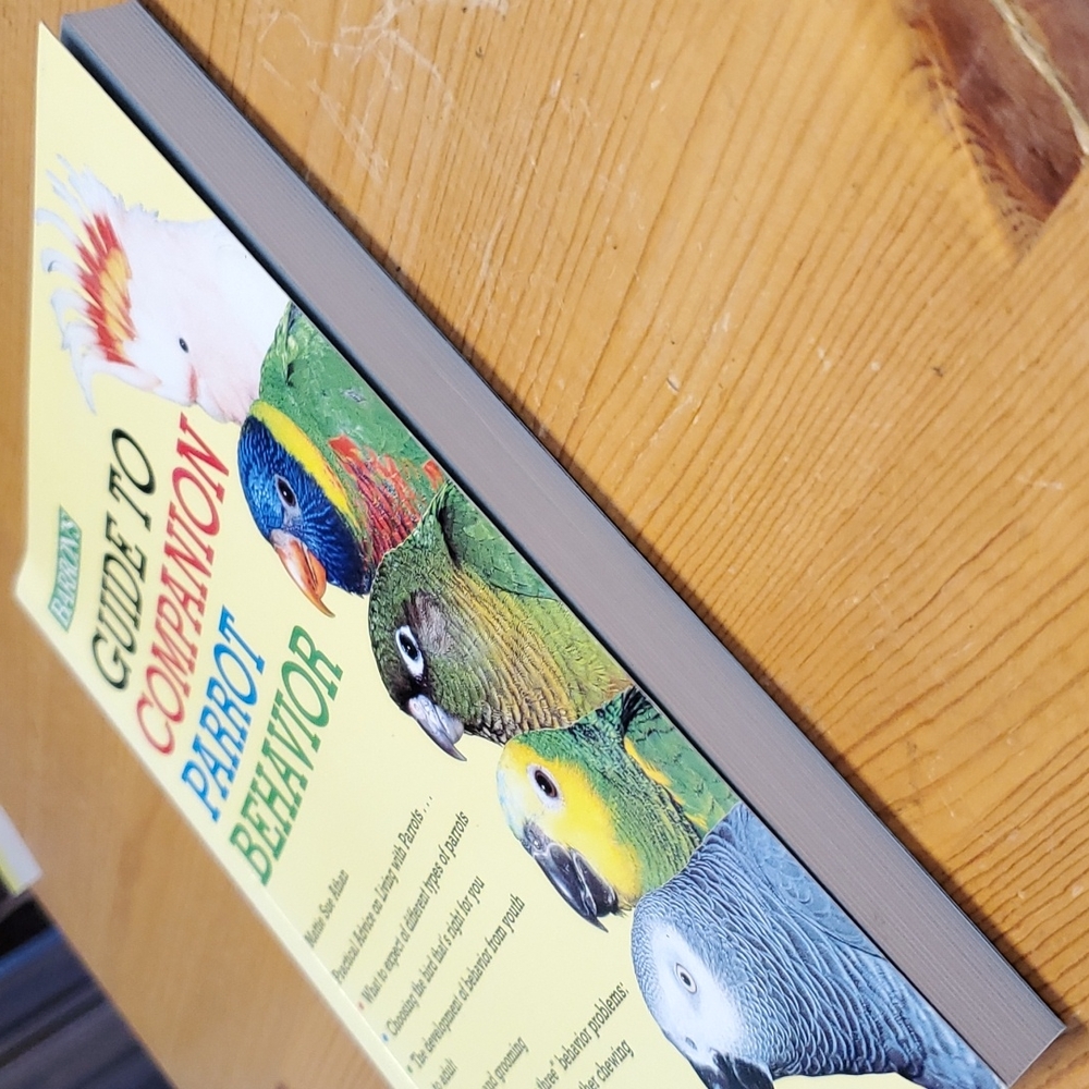 Guide To Companion Parrot Behavior - Picture 4 of 9